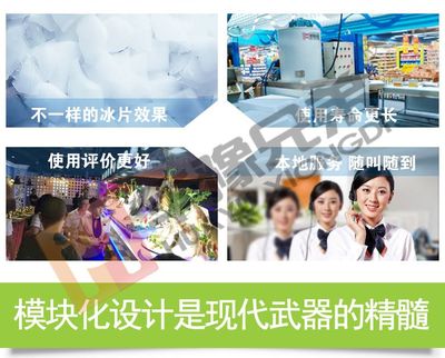 專業(yè)商用制冰機 從超市片冰到酒吧服務的多功能應用